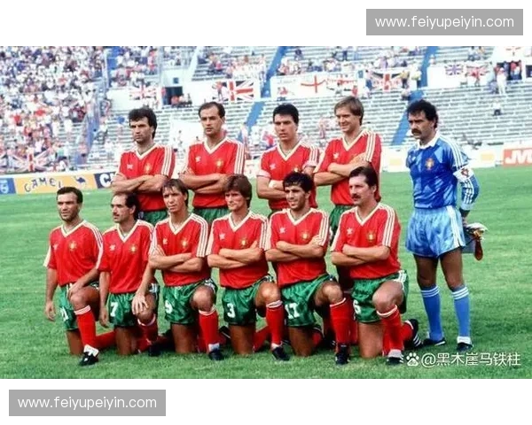 2002世界杯葡萄牙队的惊艳表现与遗憾之旅揭秘